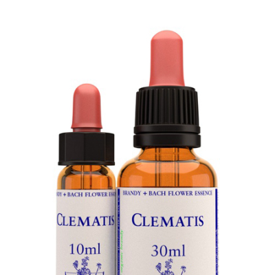 CLEMATIS BACH FLOWER REMEDY 10ml *DISC*