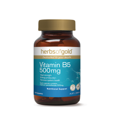  VITAMIN B5 500mg 60Vcaps B5