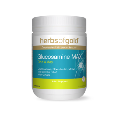 GLUCOSAMINE MAX 90Tabs