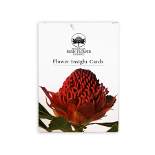 FLOWER INSIGHT PHOTO CARDS (PACK OF 69)