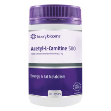 ACETYL-L-CARNITINE 500 180Caps