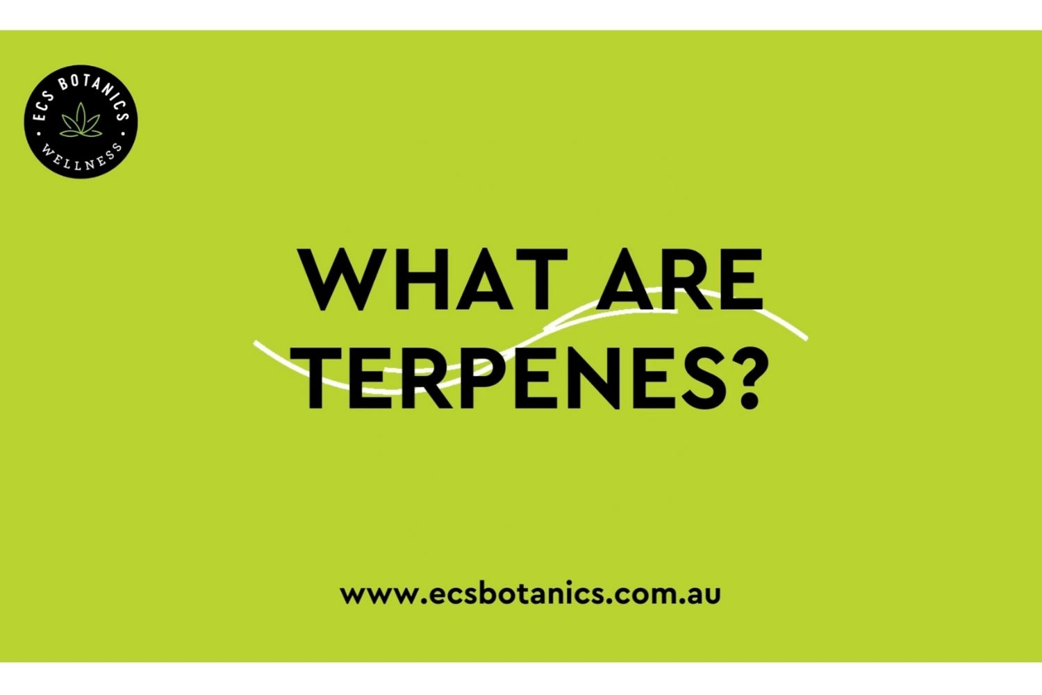 ECS Botanics - What are Terpenes