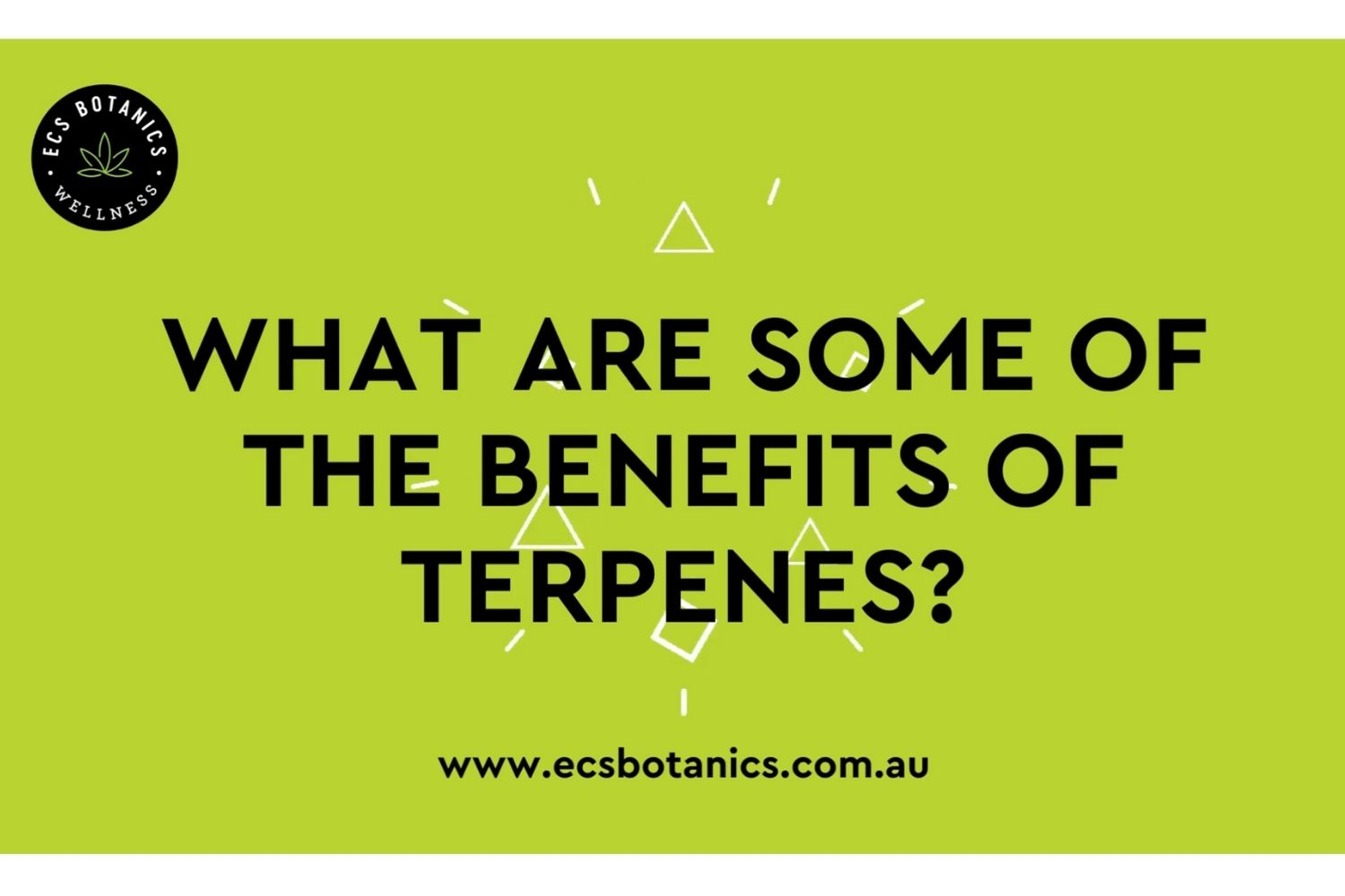 ECS Botanics - Popular Benefits of Terpenes