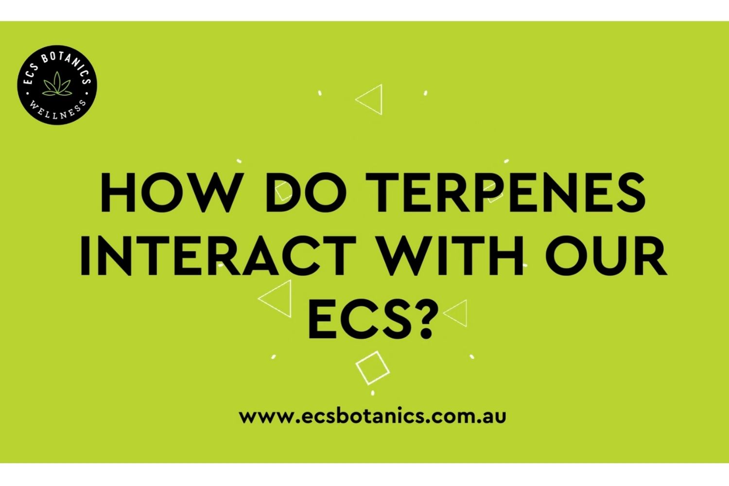 ECS Botanics - How do Terpenes interact with our ECS