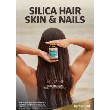 POS A2 HEADER CARD SILICA HAIR SKIN & NAILS