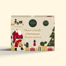 ESSENTIAL PLANT CARE TRIO SANTA KIT