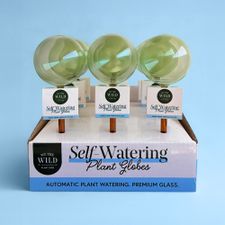 SELF WATERING PLANT GLOBE CDU 9Pk