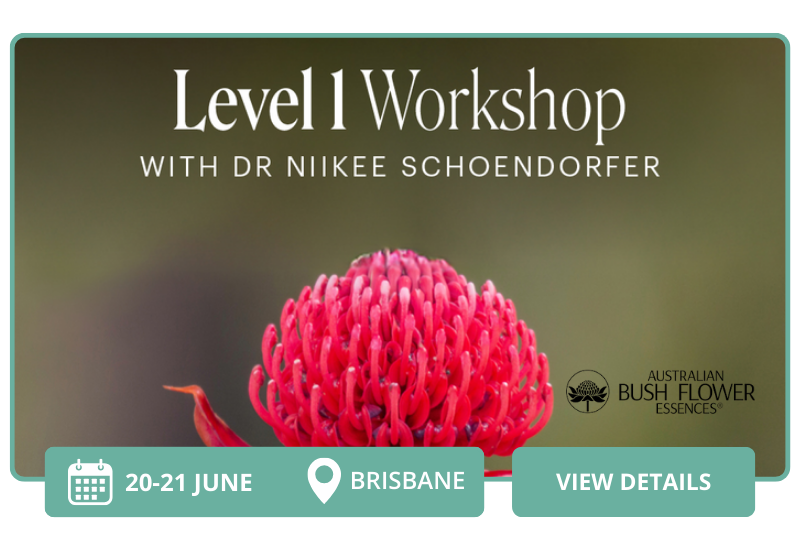 abfe-brisbane-june-2026.png