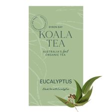 EUCALYPTUS 20Pk